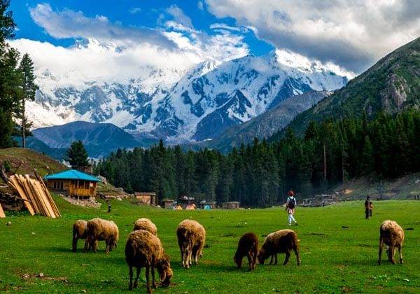 Fairy-Meadows-Skardu-Hunza-12-Days-tour