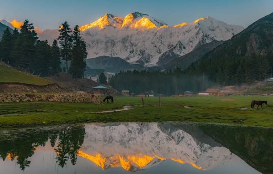 05 Days — Indulge in the Ultimate Fairy Meadows Tour