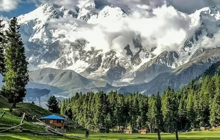 05 Days — Indulge in the Ultimate Fairy Meadows Tour